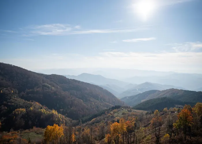 Hotel de apartamente Nina Kopaonik